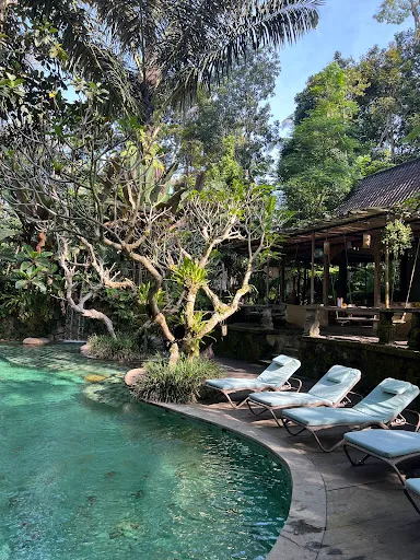 Jack fruit restaurant 4