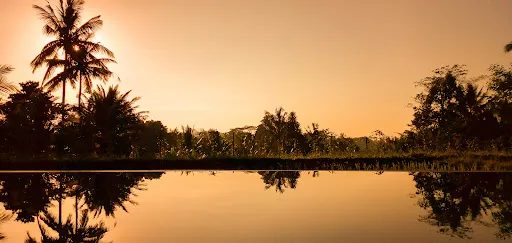 Dukuh Ubud Villa 3