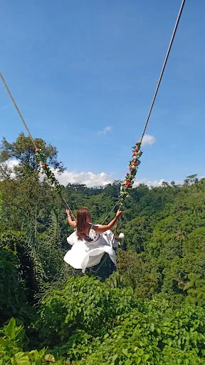 Rimba swing Bali 1