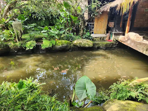 Warung Billy's D'Desa 3