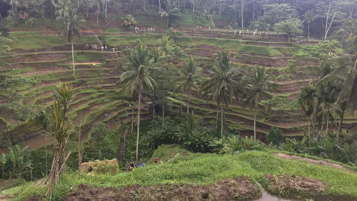 Bali Sightseeing - Rukmana Bali Tour 1