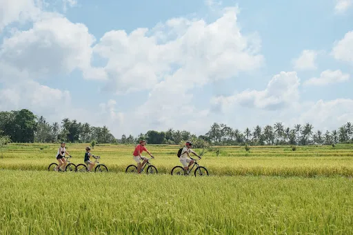 True Bali Experience 2