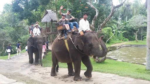 True Bali Experience 3