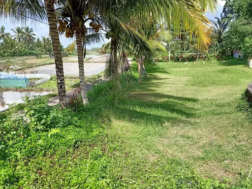 Mason Adventure Rafting 3