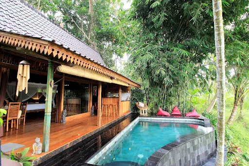 Masakali Retreat 2