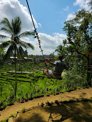 Taman Sari Rice Fields 1
