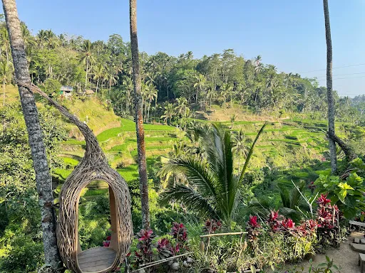 Abian Desa Rice Terrace 1
