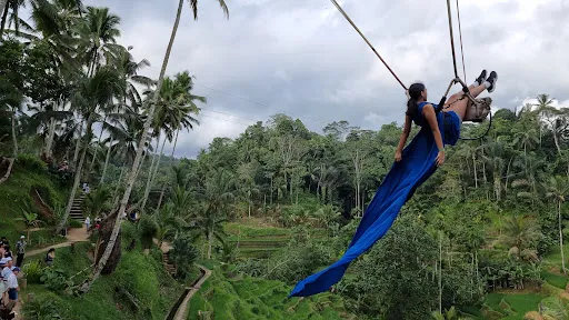 Abian Desa Rice Terrace 2