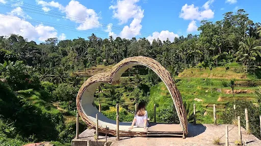 Abian Desa Rice Terrace 3