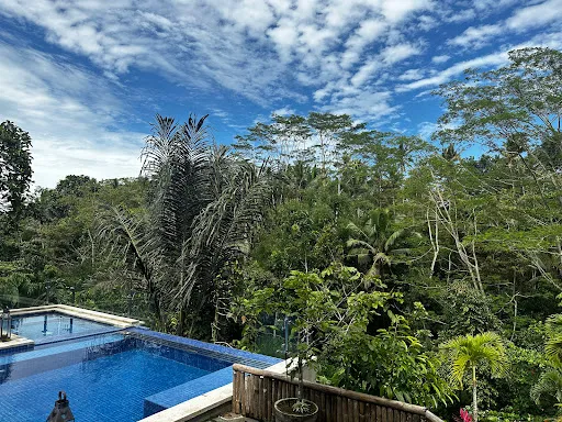 Puri Kasih Gottlieb 3