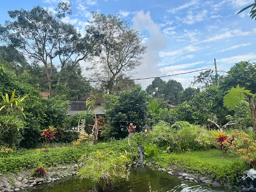 Eco Petulu Bird Sanctuary and Cafe 3