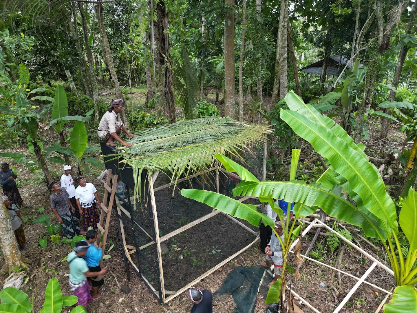 Kampoeng Jalak Bali 3