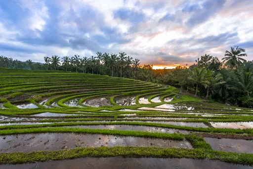 Bali Sesandan Garden 4