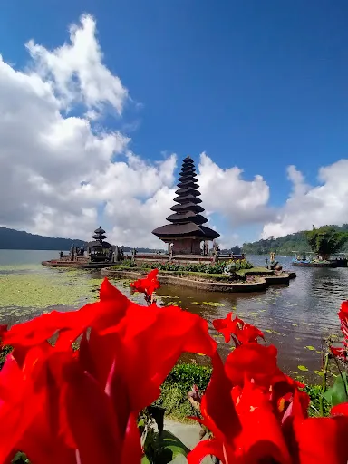 Arendra bali tours 1