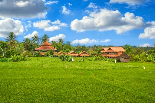 Bali Silent Retreat 1