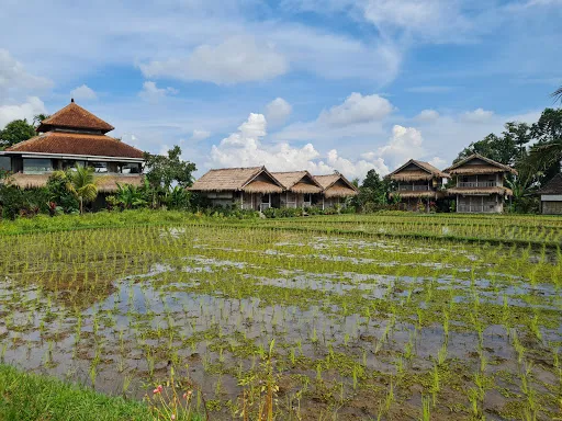 Bali Silent Retreat 2