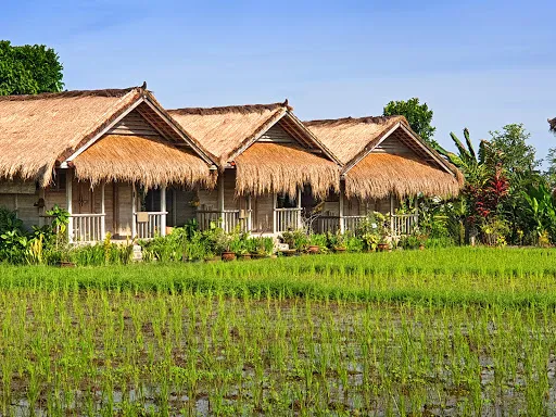 Bali Silent Retreat 3