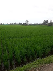 Taman Alas Permata Sari 4