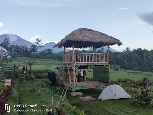 Natural Hot Spring Sahabat - Air Panas Piling Kawan 4