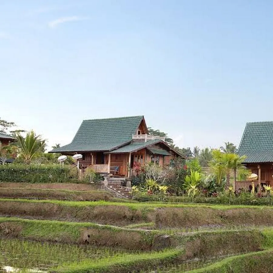 Ti Amo Bali Resort 4