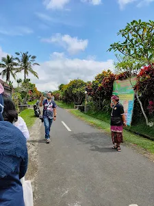 DESA WISATA PINGE 1