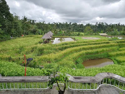 Jatiluwih Eco Farm 2