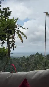 Jatiluwih Eco Farm 4
