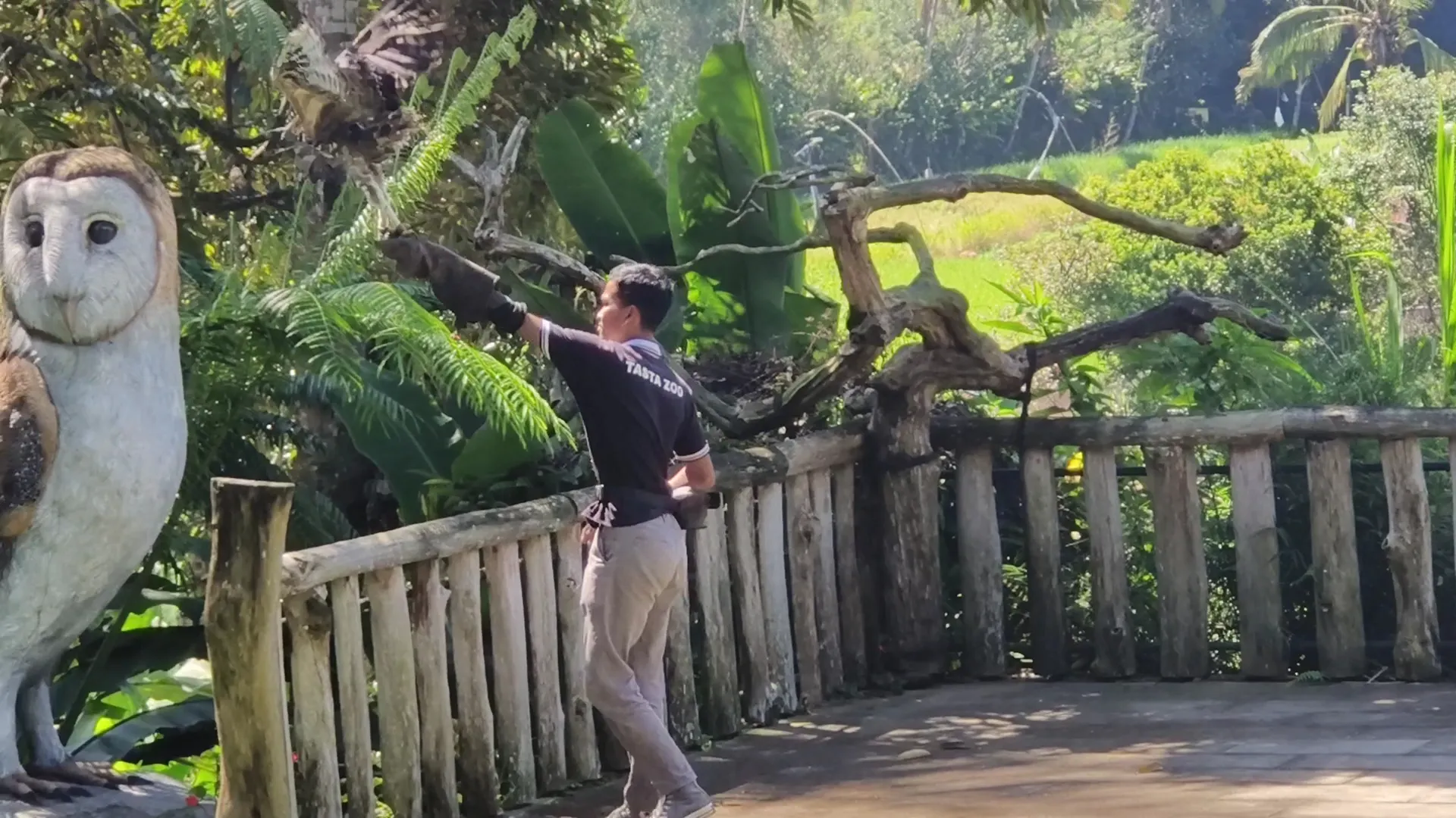 Taman Satwa Tabanan (Tasta Zoo) 1