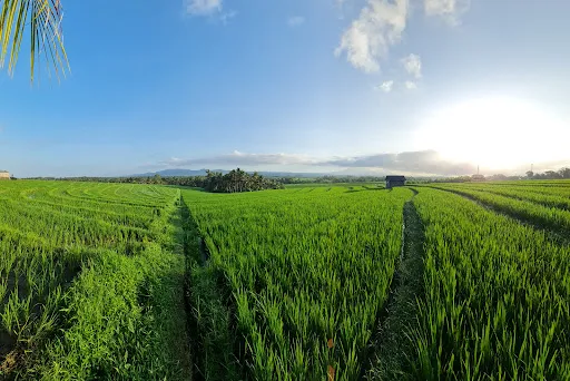 Balikaru 4