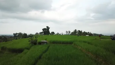 Subak Piak 2