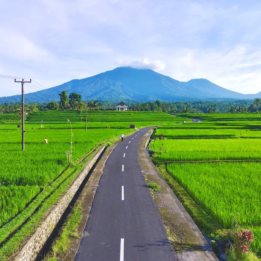 Subak Piak 4