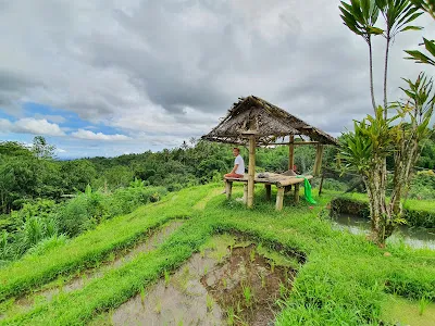 Santya Loka Lodge & Twin Waterfall 4