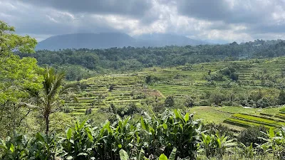 New Uma Luang Sari 1
