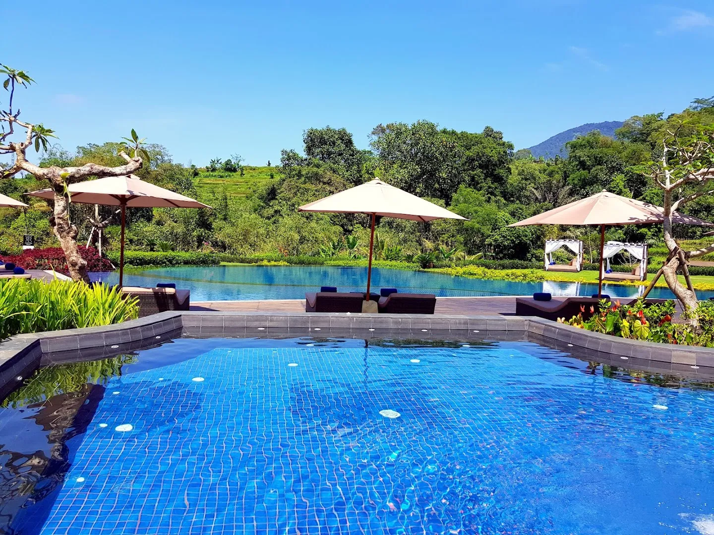 Saranam Resort and Spa 3