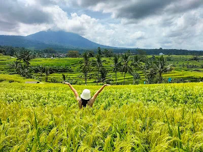 Pacung Indah