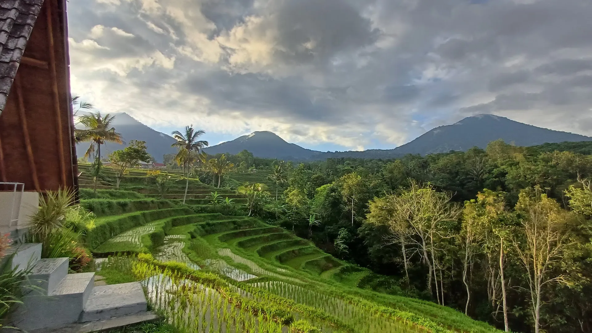 Padi Bali Cottages 3