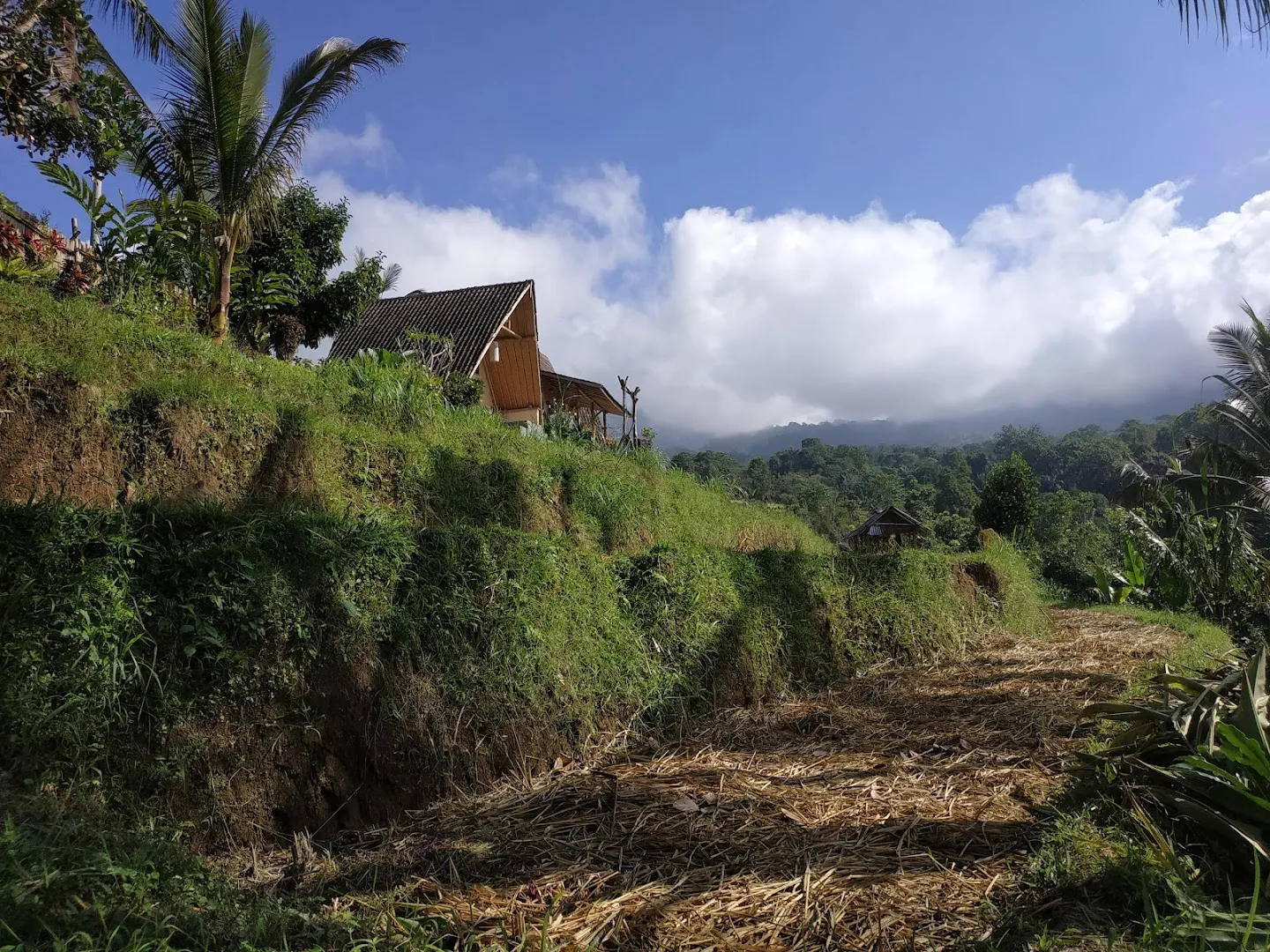Padi Bali Cottages 4