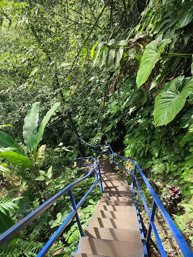 Air Terjun Yeh Hoo 4