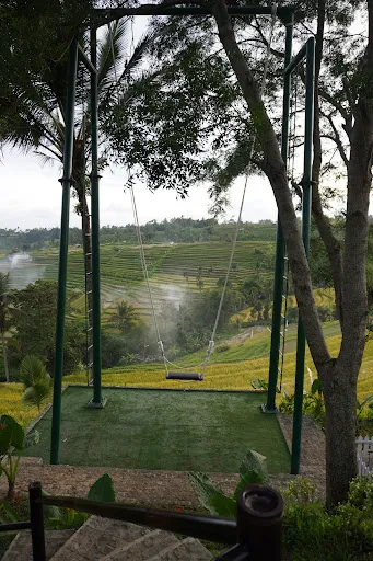 Jatiluwih Swing 1