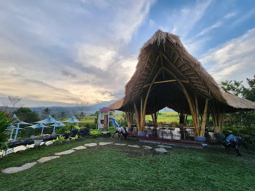 Jatiluwih Swing 3