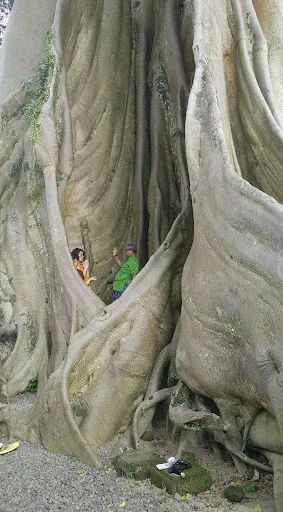 Bali Wellness & Culture by Taman Usada Bali 2