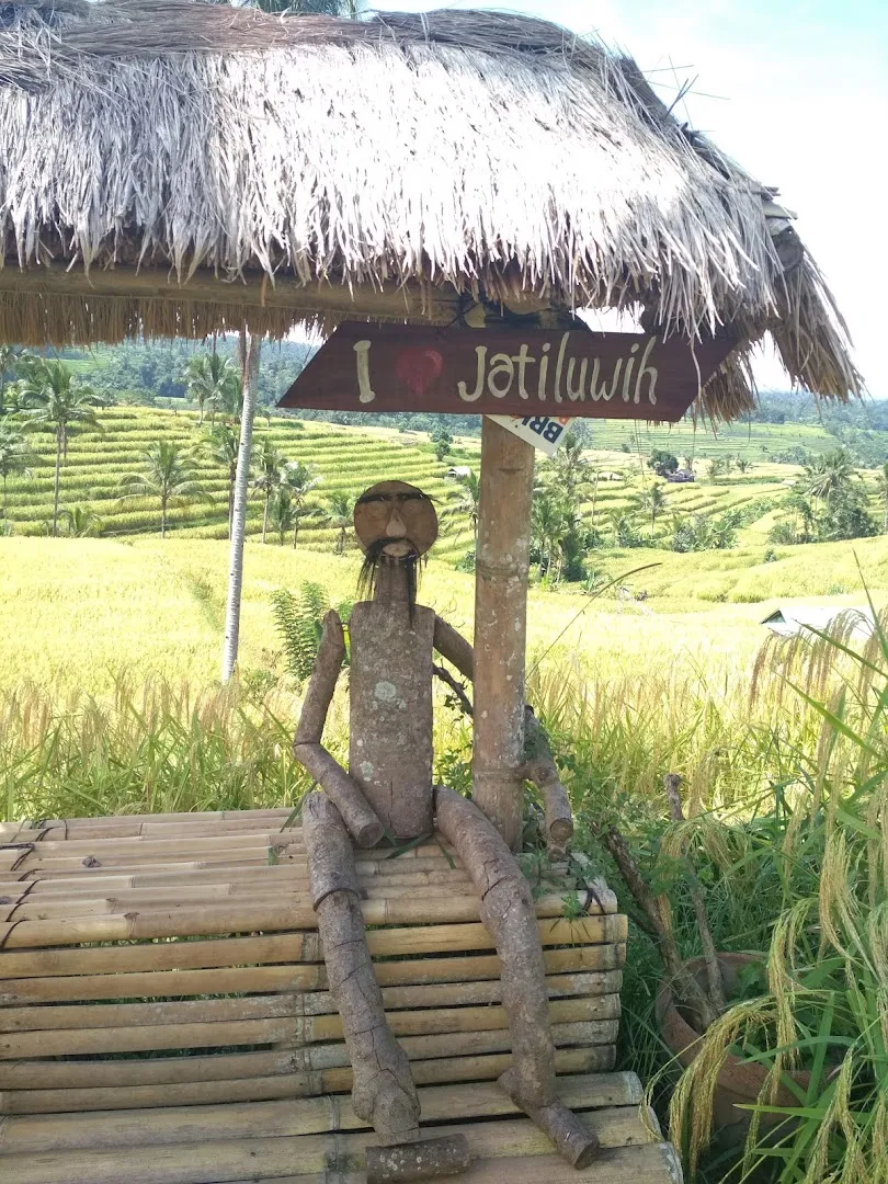 Jatiluwih Paddy Field Tourist Activities 4