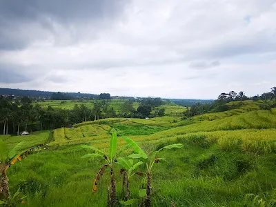 Warung Teras Subak 4