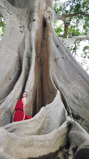 Wisata Kayu Putih 1