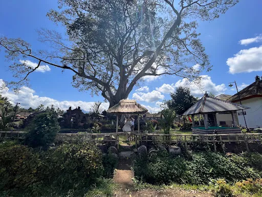 Wisata Kayu Putih 4