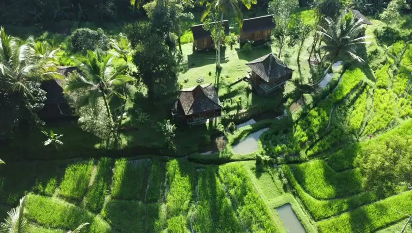 Tepi Sawah Lodge 1