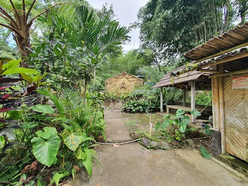 Wisata Eka tirta hot spring natural 3