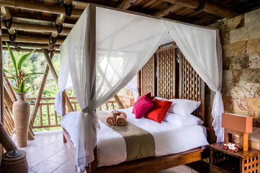 Alassari Plantation 2