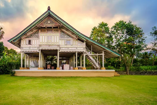 Alassari Plantation 4