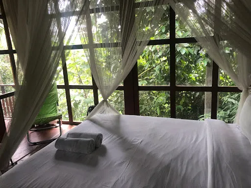 Kebun Kita Bali 1